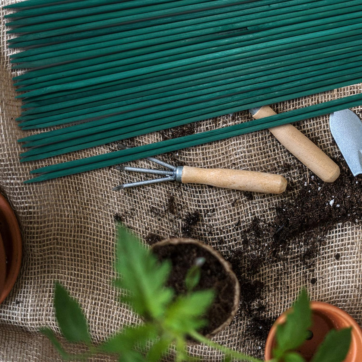 Green Blade Plant Sticks Green L45cm x D5mm Pack of 30 PS218 | Durable | Variety of Uses | Eco Friendly Bamboo Sticks with a Smooth Finish | Easy to Use | Ideal for Straightening Plant Stems and Securing Young Plants