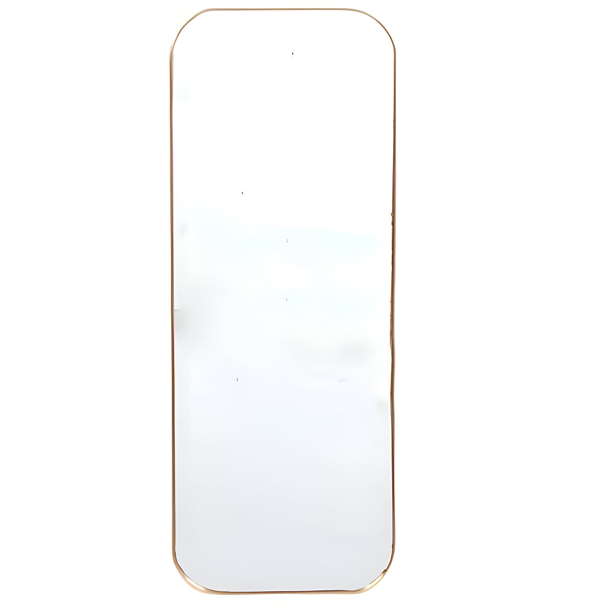 SIL Framed Mirror Gold 30cm x 80cm x 2cm MI0984
