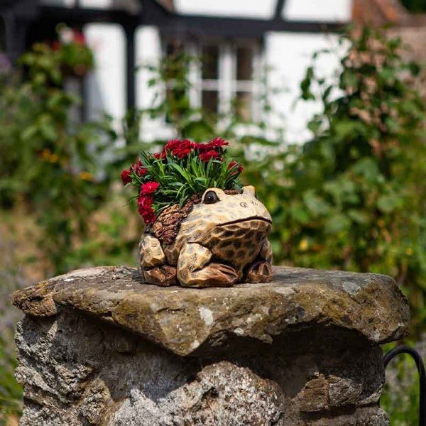 Smart Garden Woodland Frog Planter Multicoloured 5071006