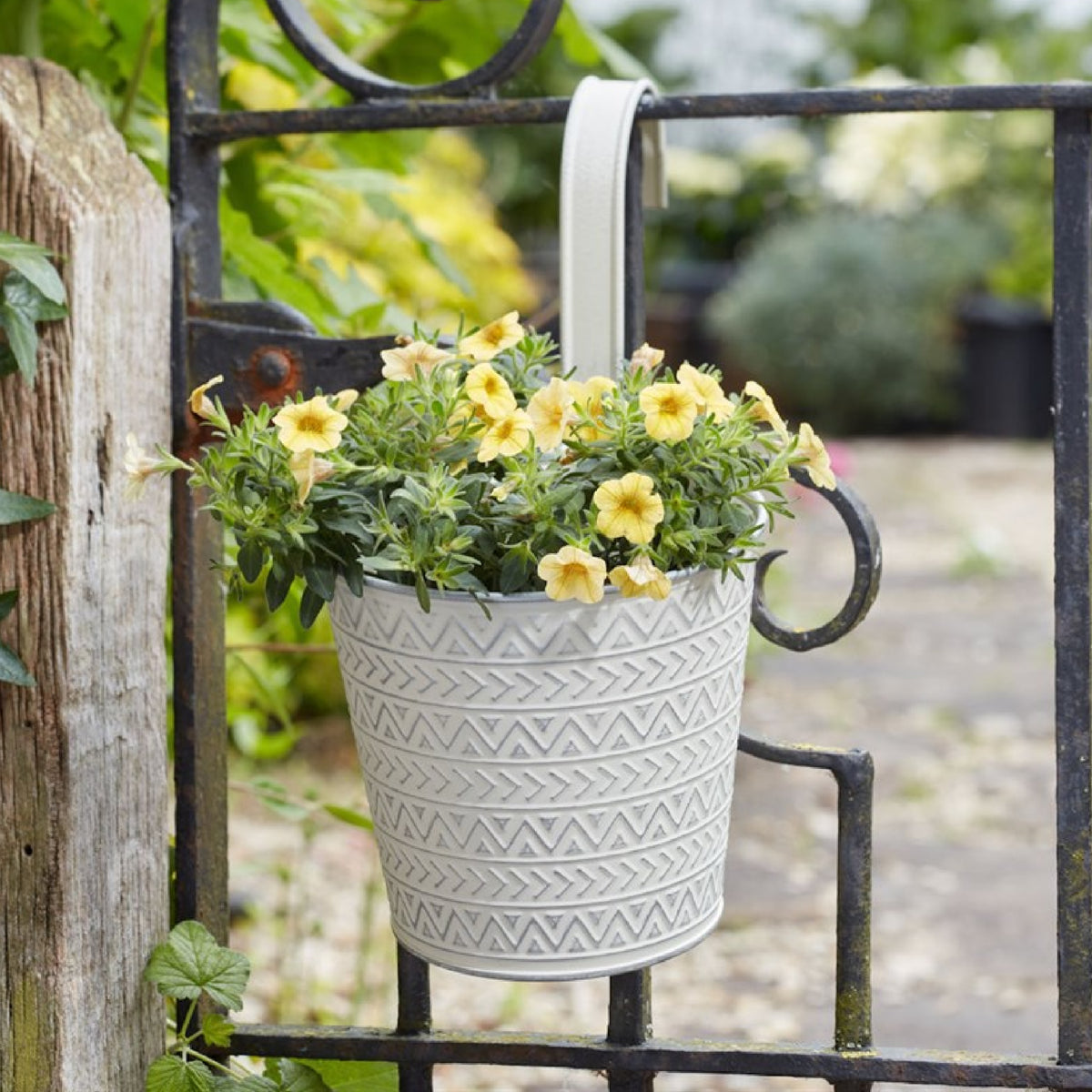 Smart Garden Aztec Fence and Balcony Hanging Pot Ivory 6-Inch 6030370 | Hanging Metal Planter | | Ideal for Fences - Balconies - Walls and Railing | Powder Coated Steel for Long Life | Will Hold up to 2 Litres of Compost