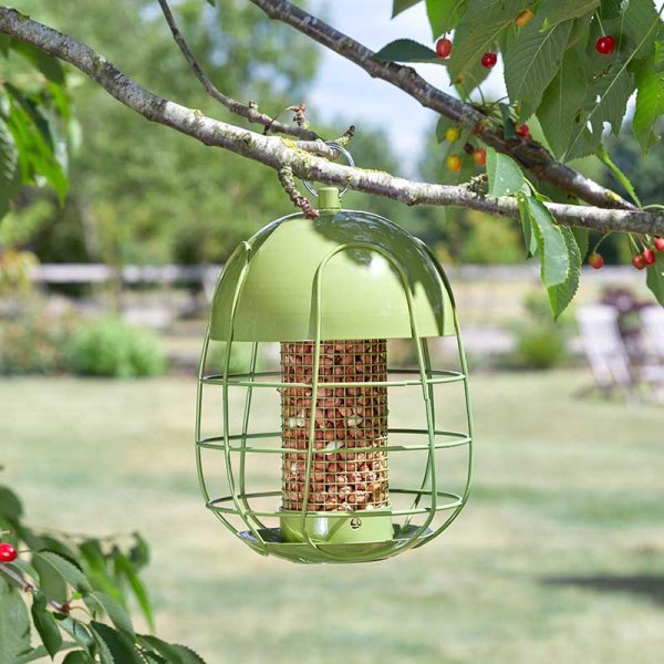 Chapelwood Acorn Squirrel-Proof Peanut Bird Feeder Green 20.7cm x 16.7cm 7512019 | Durable Feeder Helps Keep Squirrels and Large Birds at Bay | Strong Powder-coated Steel Cage