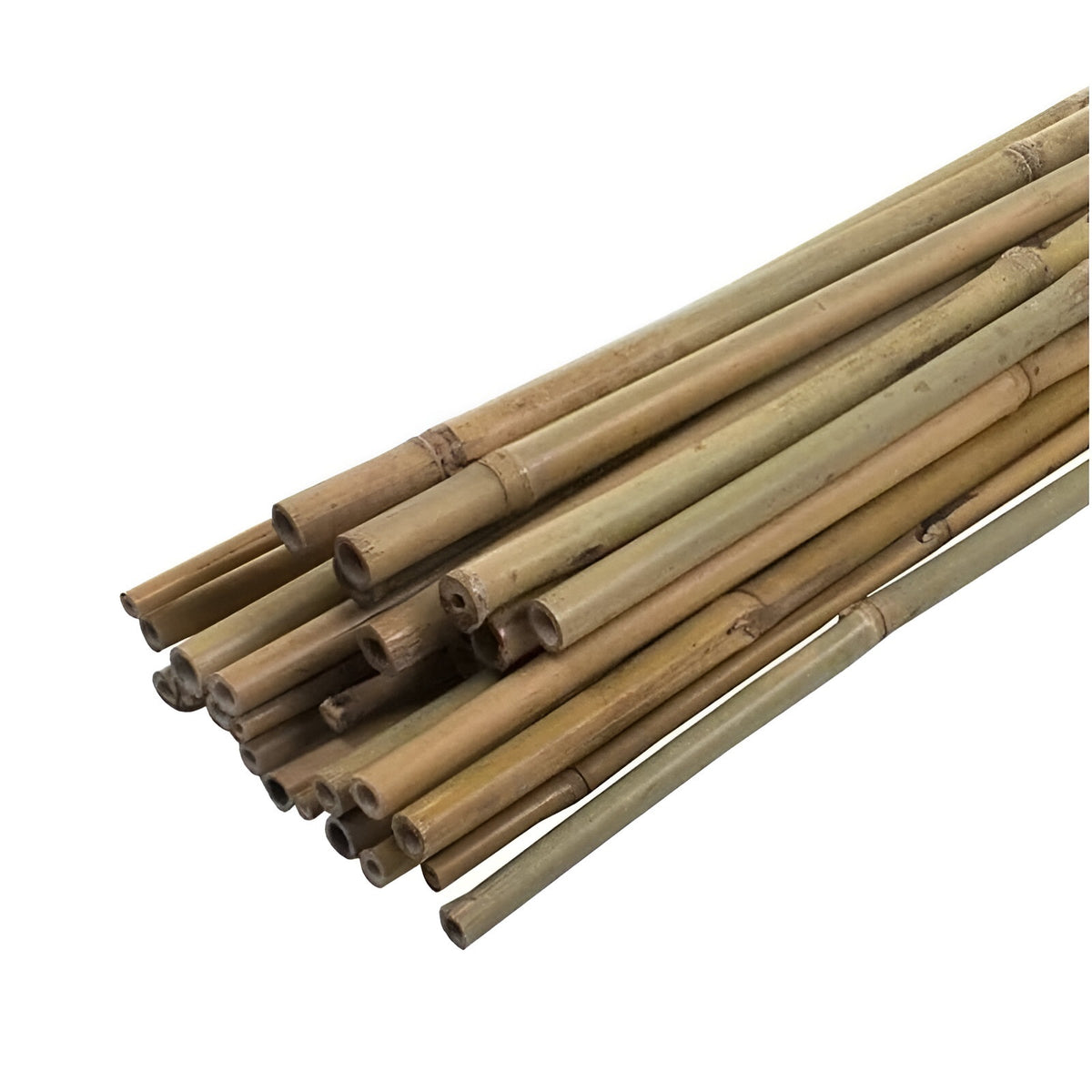 Kingfisher Garden Bamboo Canes Natural L90cm Pack of 20 BAM2A | 6mm - 8mm Thickness | Ideal for Supporting All Kinds of Plants