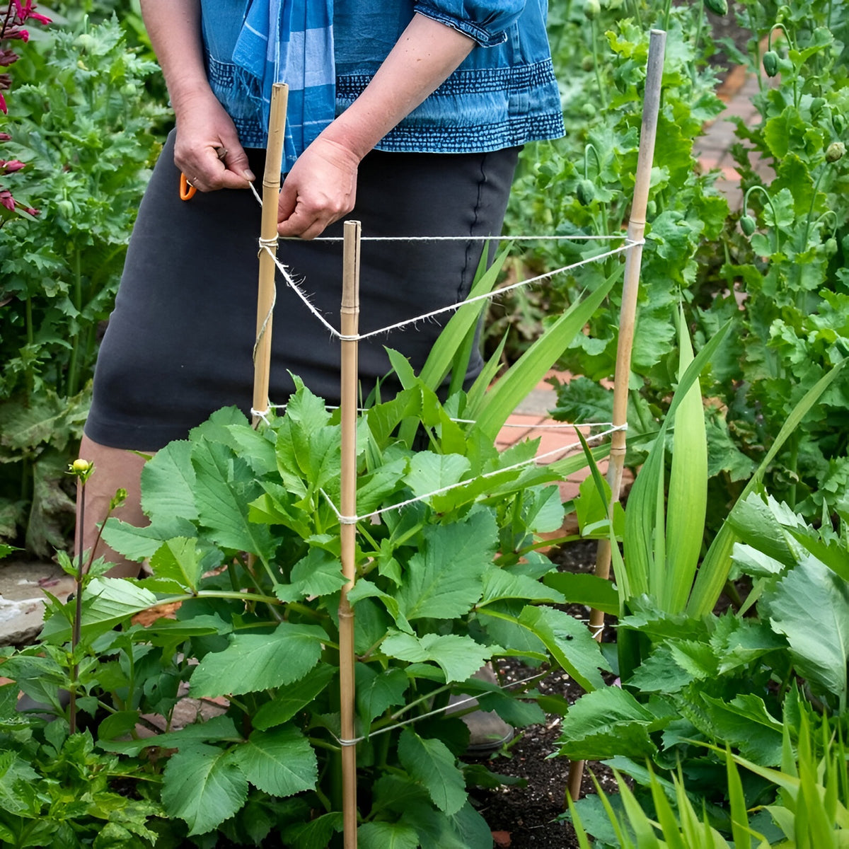 Kingfisher Garden Bamboo Canes Natural L90cm Pack of 20 BAM2A | 6mm - 8mm Thickness | Ideal for Supporting All Kinds of Plants