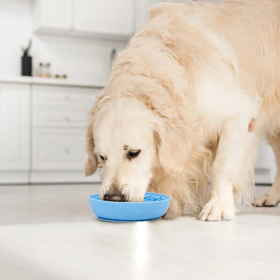 RSW Smart Choice Slow Feeder Treat Bowl with Suction Base Assorted Colours SC1499 | Ideal for Both Cats and Dogs | Making Treat Time a Fun and Stimulating Game | Helps to Calm and Soothe Your Pet | Can be Frozen for Refreshing and Long Lasting Fun