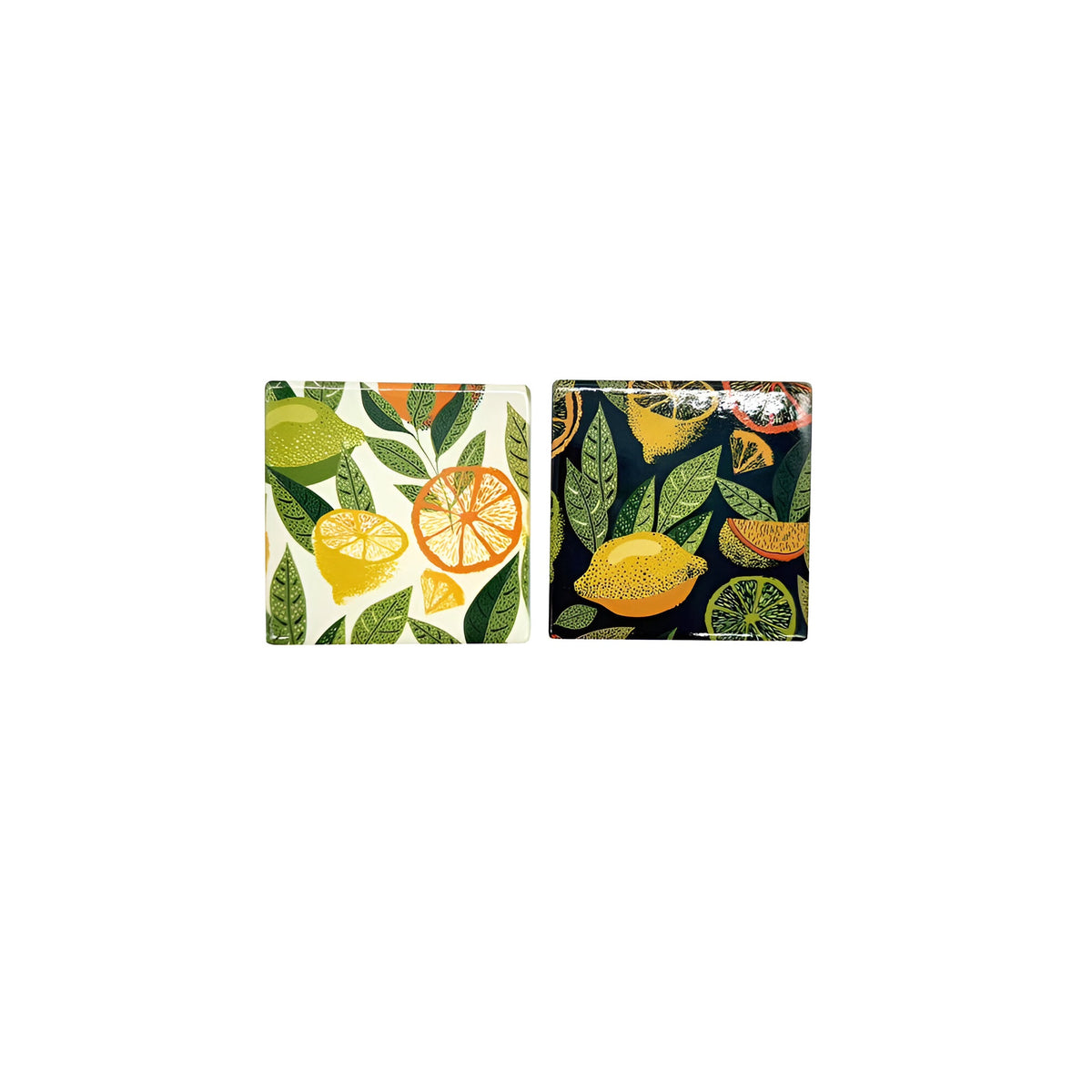 SIL Citrus Coaster Assorted 10cm x 10cm Pack of 1 KG3852