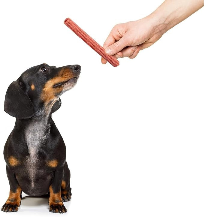 Smart Choice Daily Dental Puffed Sticks for Dogs Brown Pack of 24 72g SC1572 | With Added Vitamins and Minerals | Ideal Treat | Resealable Pouch | Made with Real Vegetables and Chicken | No Artificial Colourants | Low Fat | Grain Free | Contains Calcium