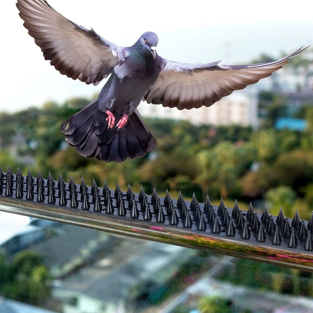 Pro Garden Anti-Climb Strip Black 50cm x 4.5cm x 2cm Pack of 10 R10000150
