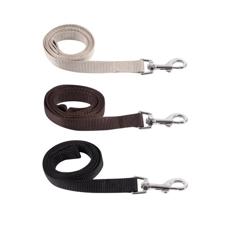 RSW Smart Choice Dog Collar Assorted Colours Medium SC640 | 120cm Approx Length | For Daily Walks