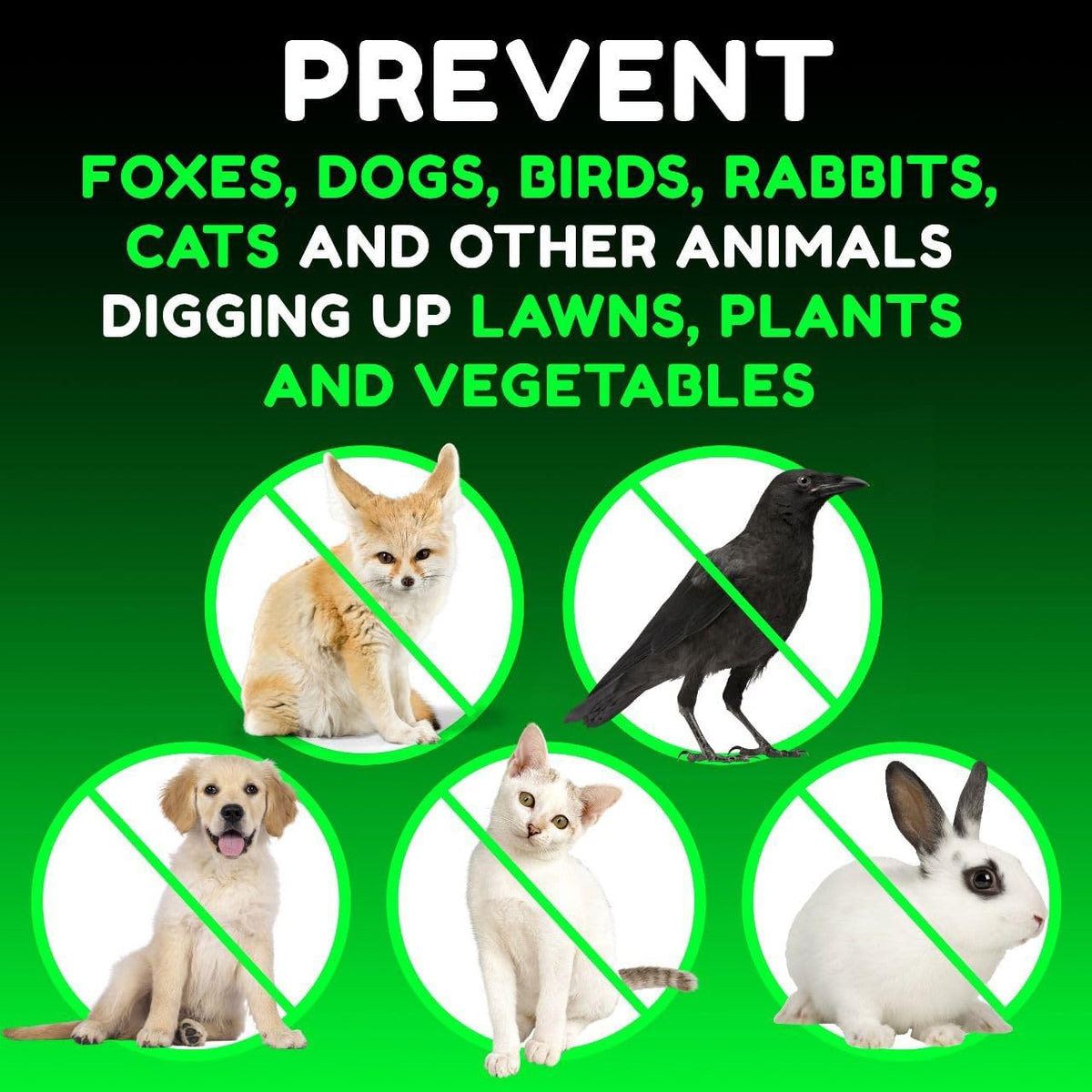Progarden Animal Repellent Mat Black Pack of 2 C22954810 | Outdoor Cat and Dog Deterrent Spike Mat | For Garden-Lawn-Flower Beds | Weather-Resistant
