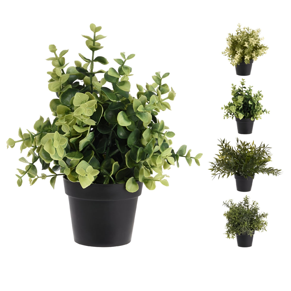 Botanical Decoration Plant in Polypropylene Pot Black 23cm Pack of 1 317003100