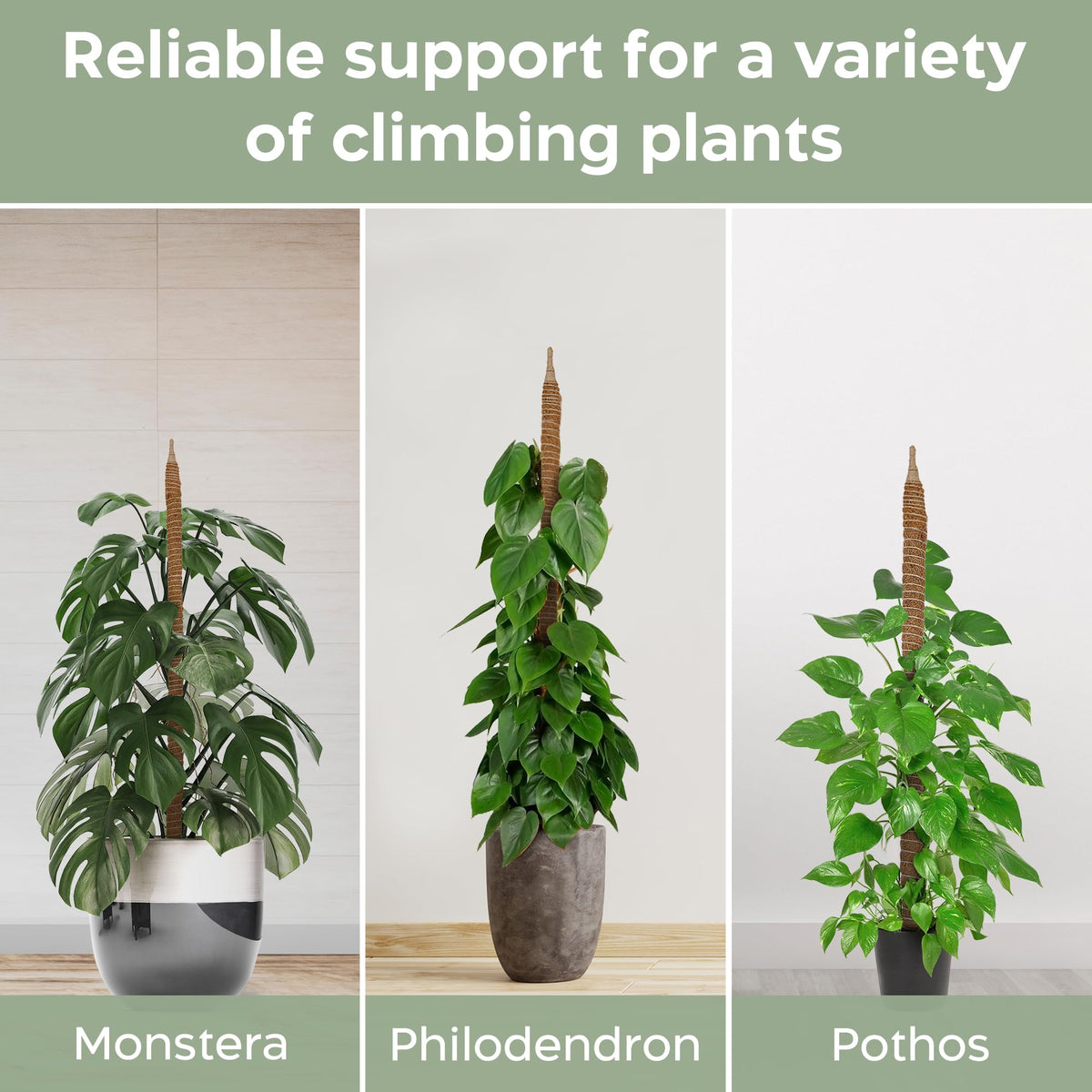Green Blade Bendable Moss Pole Brown 48-Inch Pack of 2 PS226 | Great for Use Both Indoors and Outdoors | Perfect for Supporting all Climbing Plants from Shrubs - Vines and Vegetables to Ornamental Plants etc | Bendable Design to Allow you to Flex and