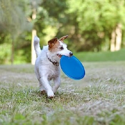 Plastic Flying Disc Toys Assorted Colours 20cm Pack of 1 495460290 | Outdoor Garden Fun | Beach and Park Games | Ideal for Kids and Adults | Pet Interaction Toy