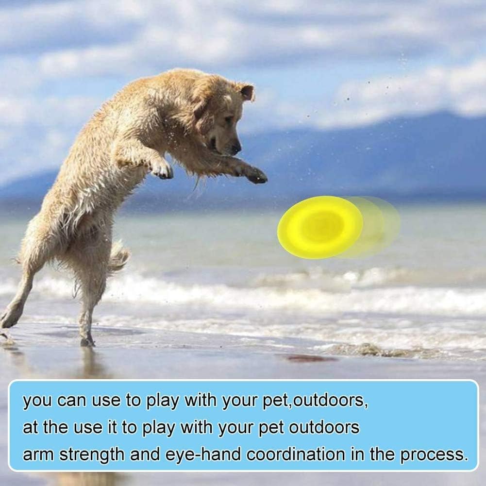 Plastic Flying Disc Toys Assorted Colours 20cm Pack of 1 495460290 | Outdoor Garden Fun | Beach and Park Games | Ideal for Kids and Adults | Pet Interaction Toy