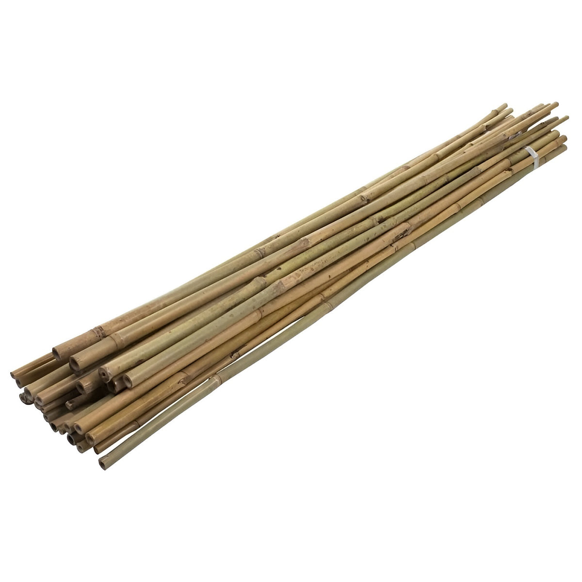 Green Blade Bamboo Plant Support Natural H600cm x 8mm Pack of 10 PS210 | Lightweight and Sturdy Traditional Bamboo | Easy to Cut | Natural Bending and Movement Helps Growing Plants | Ideal for Potted Plants - Flowers - Mini Trees - Vines etc