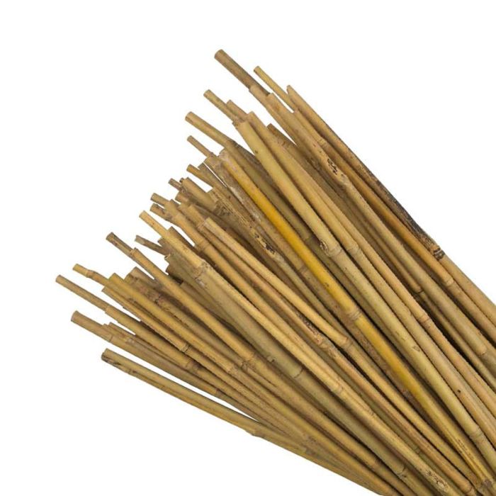 JVL Bamboo Canes Natural 6Ft Pack of 10 05-006