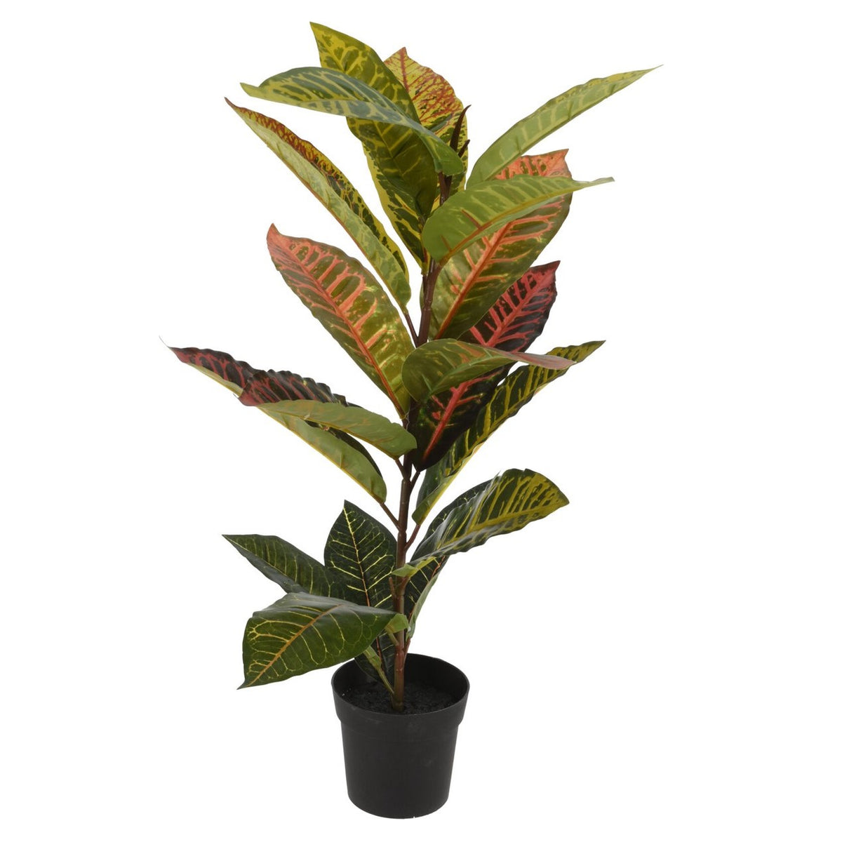 Botanical Decoration Calathea Plant in Pot Multicoloured 65cm 317221220