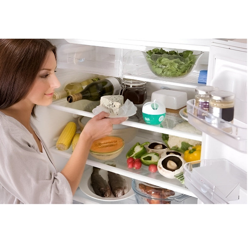 Croc Odor Frigo Fridge Freshener Green and White Pack of 2 402750 | The Kitchen Expert | Fragrance Free | Temperature Indicator