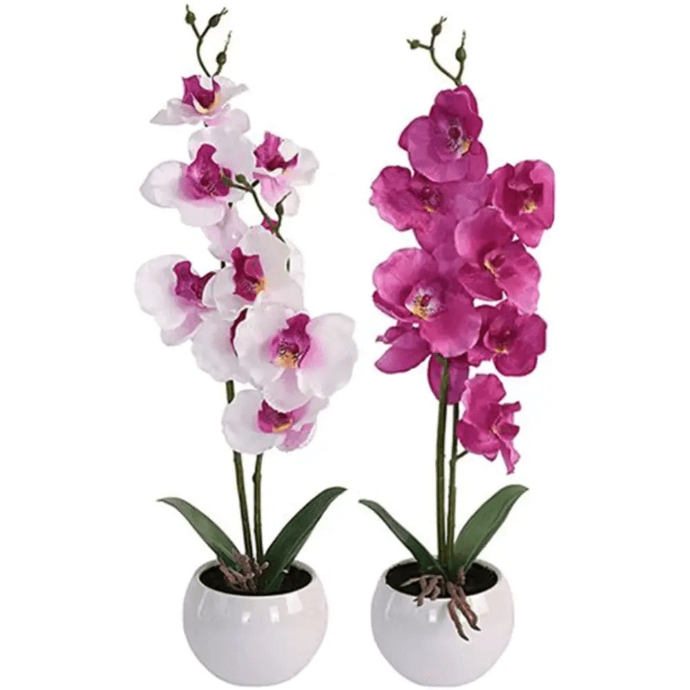 Botanical Decoration Artificial Orchid Plant in Pot Assorted Colours 11cm x 39cm 317353840