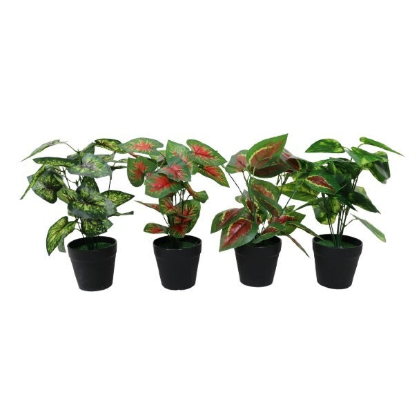 Artificial Colorful Faux Caladium and Leafy Plants in Black Pots Green Pack of 1 PL4002380 | Indoor Decorative Plants for Home-Office or Events
