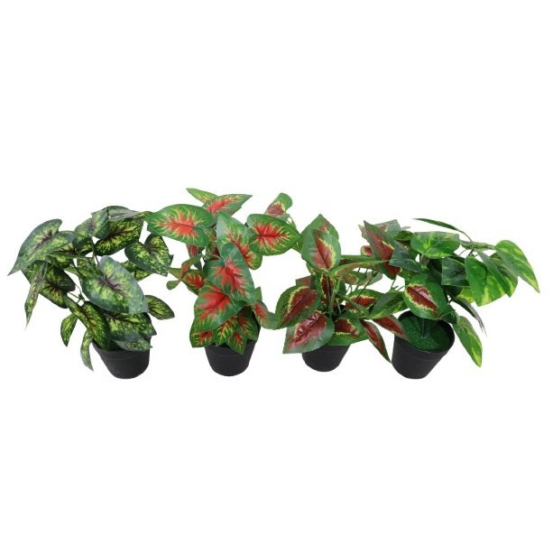 Artificial Colorful Faux Caladium and Leafy Plants in Black Pots Green Pack of 1 PL4002380 | Indoor Decorative Plants for Home-Office or Events