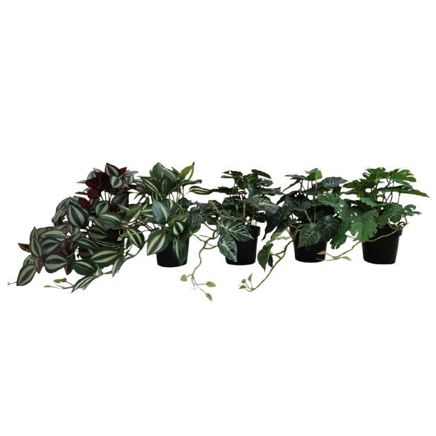 Botanical Decoration Artificial Hanging Houseplants in Black Pots Green Pack of 1 PL6000120 | Assorted Tropical Leaf Designs | Realistic Faux Greenery for Home or Office Decor