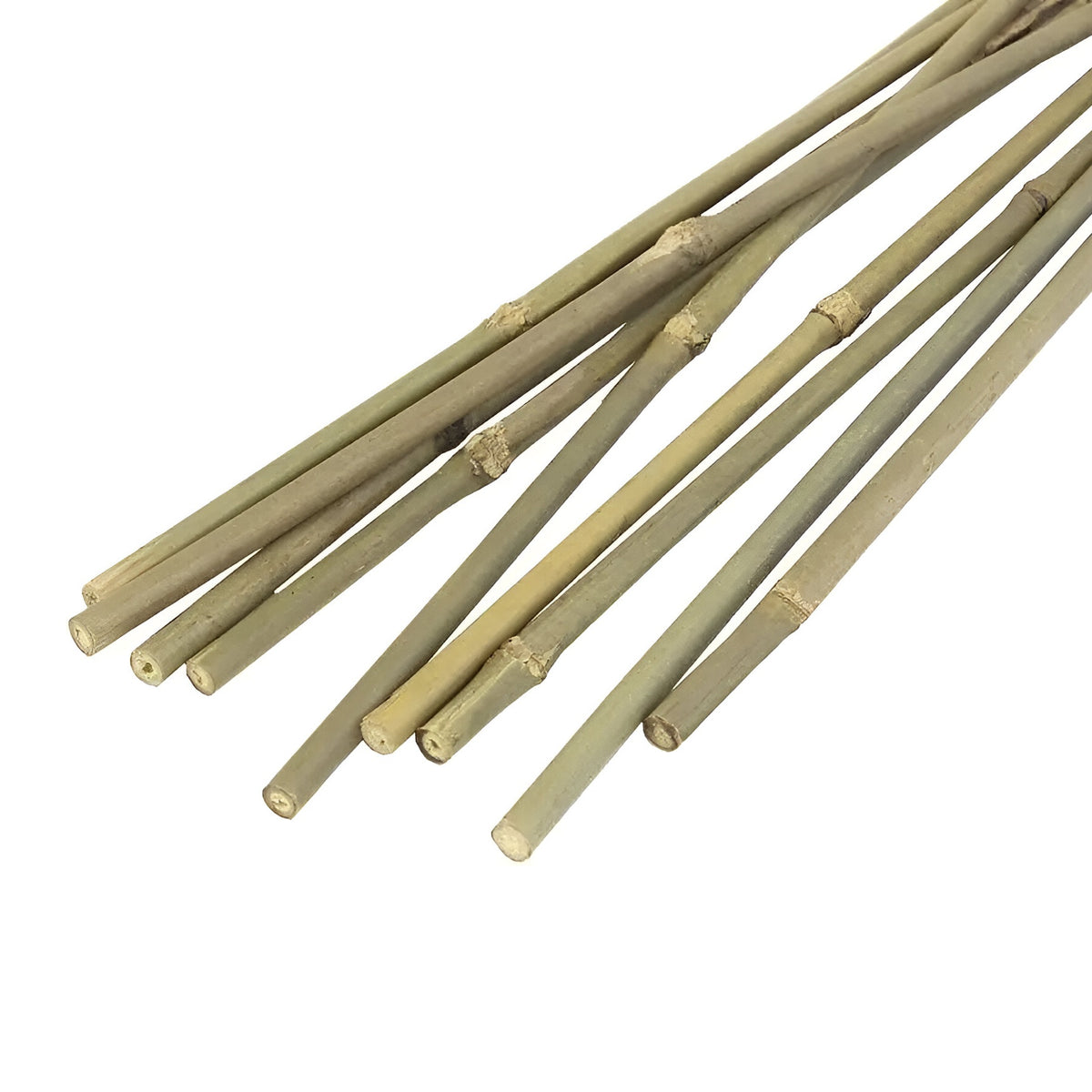 JVL Bamboo Garden Canes Natural 122cm Pack of 20 05-004