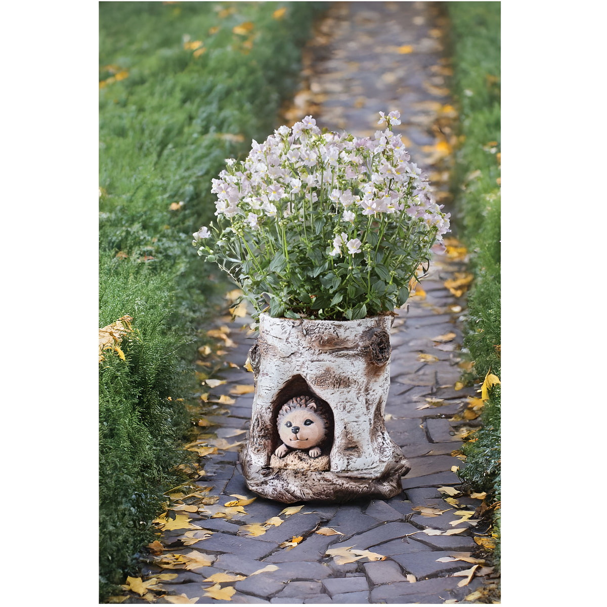 Smart Garden Hog Log Planter Multicolour 18.5cm x 19cm x 17.5cm 5071039