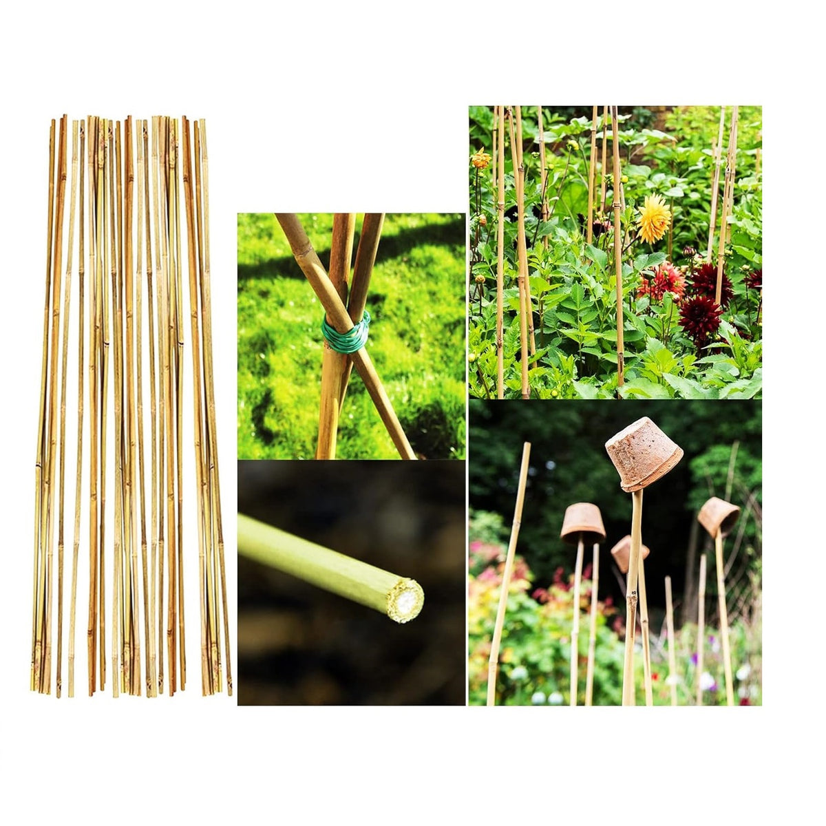 Green Blade Bamboo Plant Support Sticks Brown 1200mm x 11mm Pack of 10 PS212 | Lightweight and Sturdy | Easy to Cut | For Flowers-Vines-Trees and Potted Plants |  Natural Growth Aid