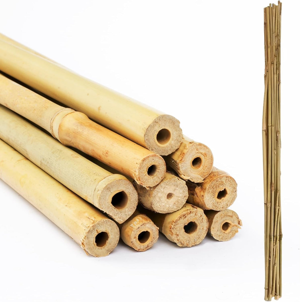 Green Blade Bamboo Plant Support Sticks Brown 1500mm x 12mm Pack of 10 PS213 | Lightweight and Sturdy | Easy to Cut | For Flowers-Vines-Trees and Potted Plants | Natural Growth Aid