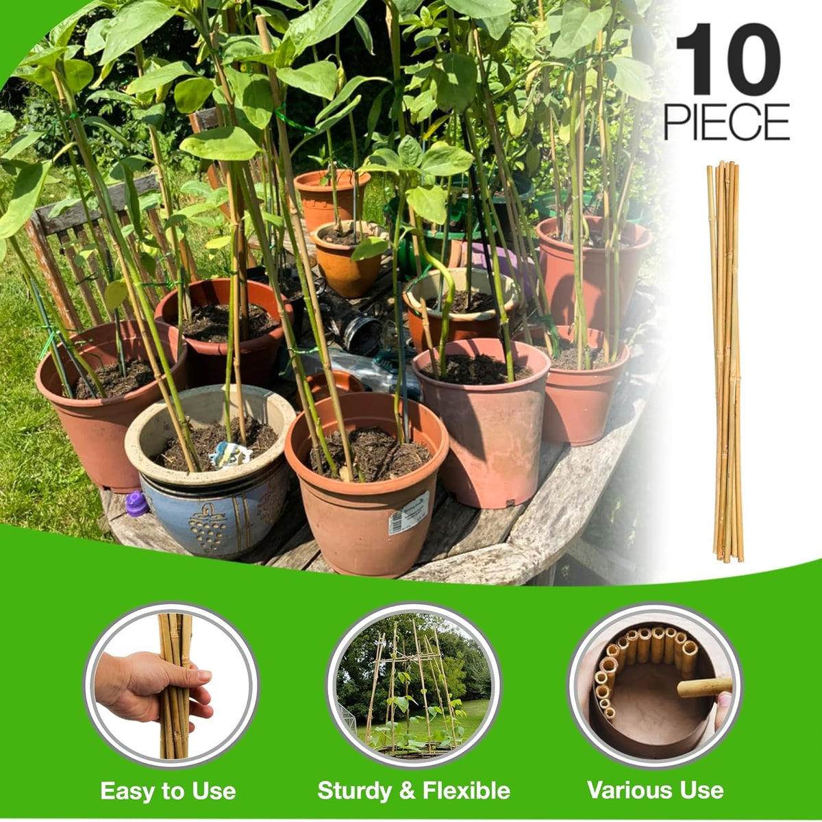 Green Blade Bamboo Plant Support Sticks Brown 1500mm x 12mm Pack of 10 PS213 | Lightweight and Sturdy | Easy to Cut | For Flowers-Vines-Trees and Potted Plants | Natural Growth Aid