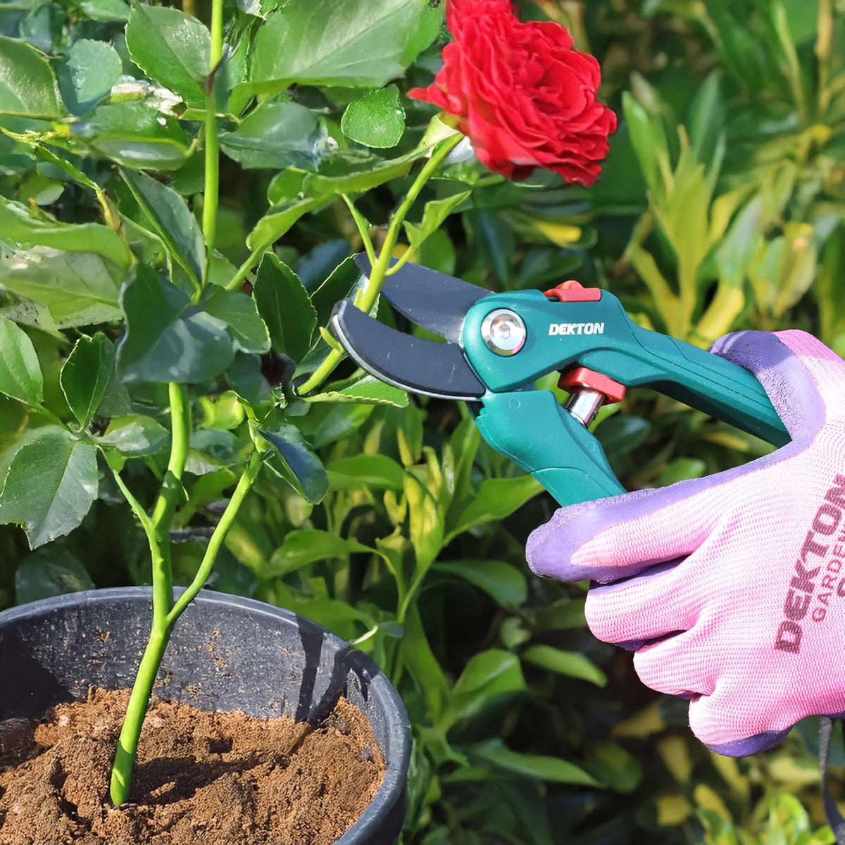Dekton Anvil Pruner Dark Green 10mm DTG5020 | Prune Branches and Plants | Cut Through Thick Branches upto 10mm | Ideal for Cutting Branches and Fibrous Plants | Ground Carbon Steel Cutting Blade for Enduring Sharpness | Convenient One-Hand Safety Lock