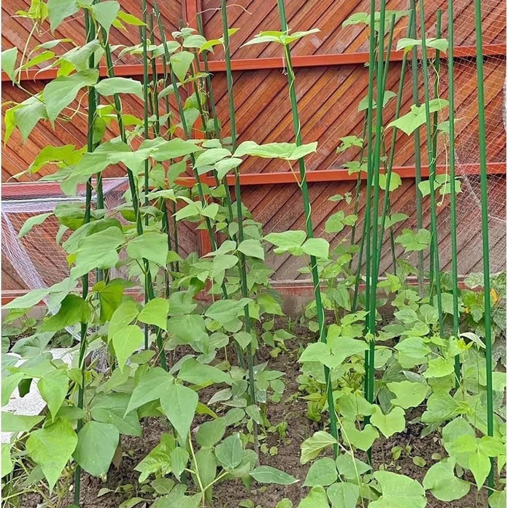 Green Blade Plant Support Stakes Green 11mm x 1500mm PS223 | Plastic Coated Steel Core Garden Canes | Strong Support for Climbing Plants-Vines and Flowers