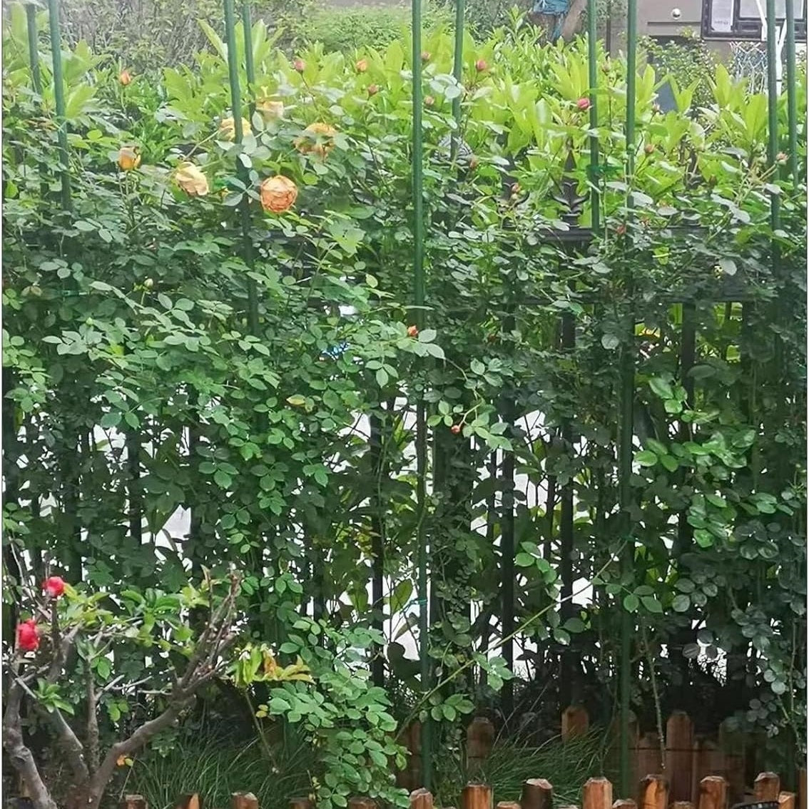 Green Blade Plant Support Stakes Green 11mm x 1500mm PS223 | Plastic Coated Steel Core Garden Canes | Strong Support for Climbing Plants-Vines and Flowers