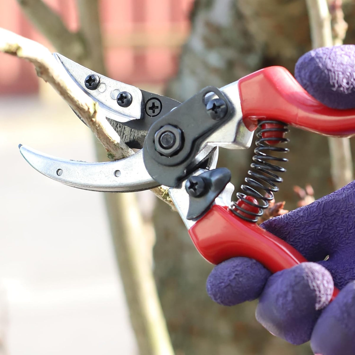 Dekton Pro Bypass Pruner Red 21cm DTG5015 | Prunes Stems and Branches | Powerful Cut Through Thick Branches upto 13mm | Heavy-Duty Design | Ideal for Pruning Tough Fibrous Stems - Branches and Woody Twigs | High Quality, Heavy-Duty Sharpened Carbon Steel