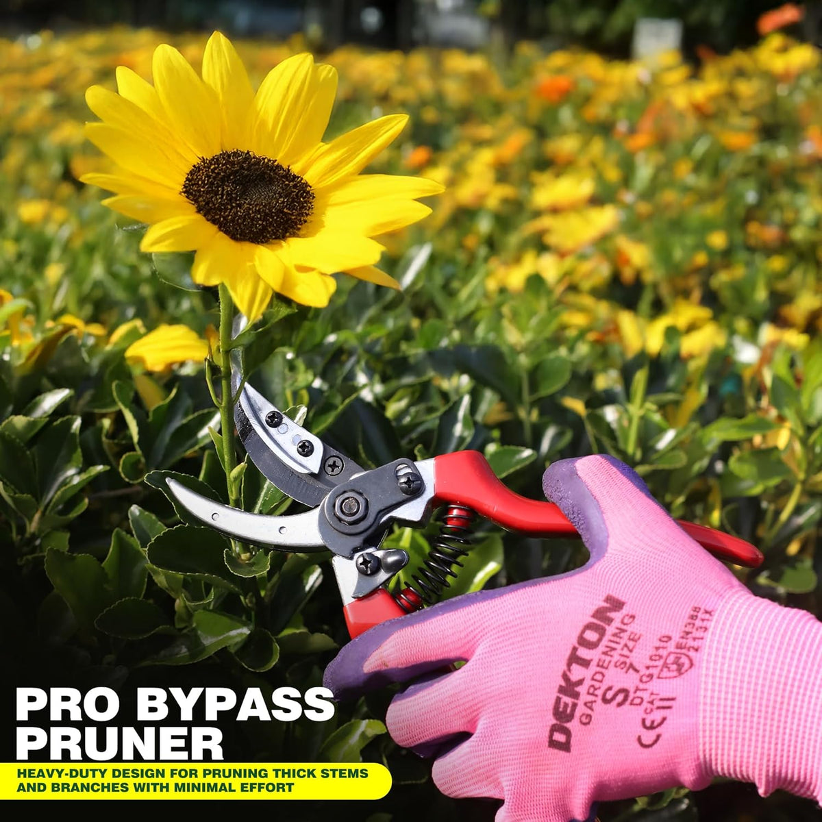 Dekton Pro Bypass Pruner Red 21cm DTG5015 | Prunes Stems and Branches | Powerful Cut Through Thick Branches upto 13mm | Heavy-Duty Design | Ideal for Pruning Tough Fibrous Stems - Branches and Woody Twigs | High Quality, Heavy-Duty Sharpened Carbon Steel