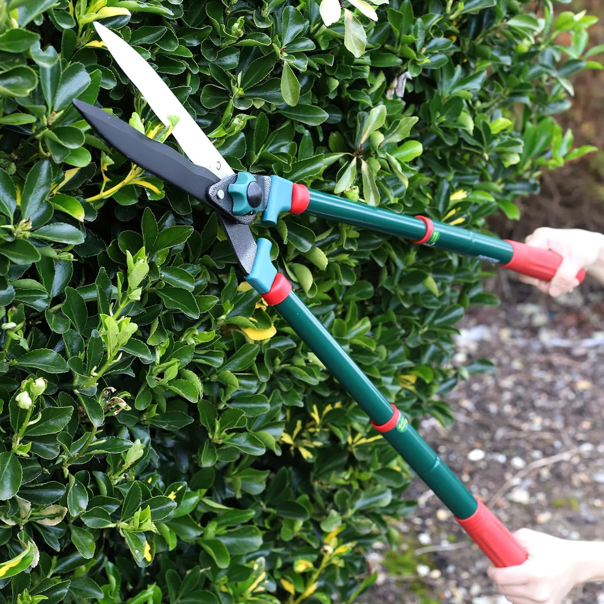 Dekton Telescopic Hedge Shears Multicolour 62cm DTG5145 | 8mm Max Cut Diameter | tension Adjuster | Extendable Handles | High-Quality, Carbon Steel Blades | Lightweight Handles Adjust from 62cm to 80cm | Soft-Grip PVC Coated Handles