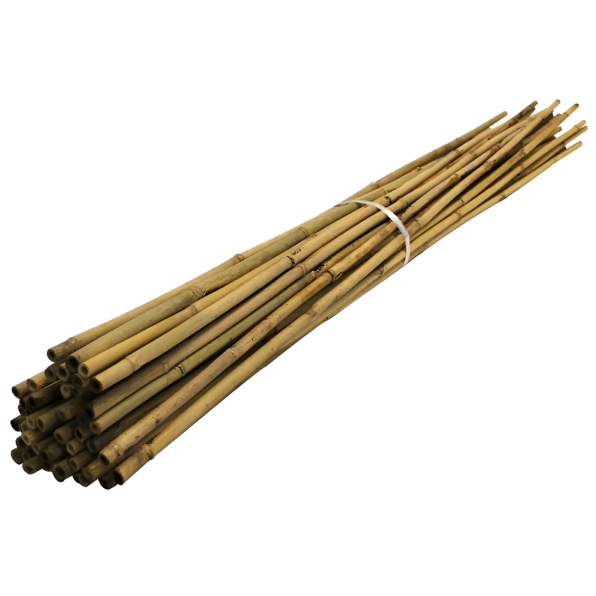 Kingfisher Garden Bamboo Canes Natural L60cm Pack of 20 BAM1A | 6mm-8mm Thickness | Ideal for Supporting all Kinds of Plants