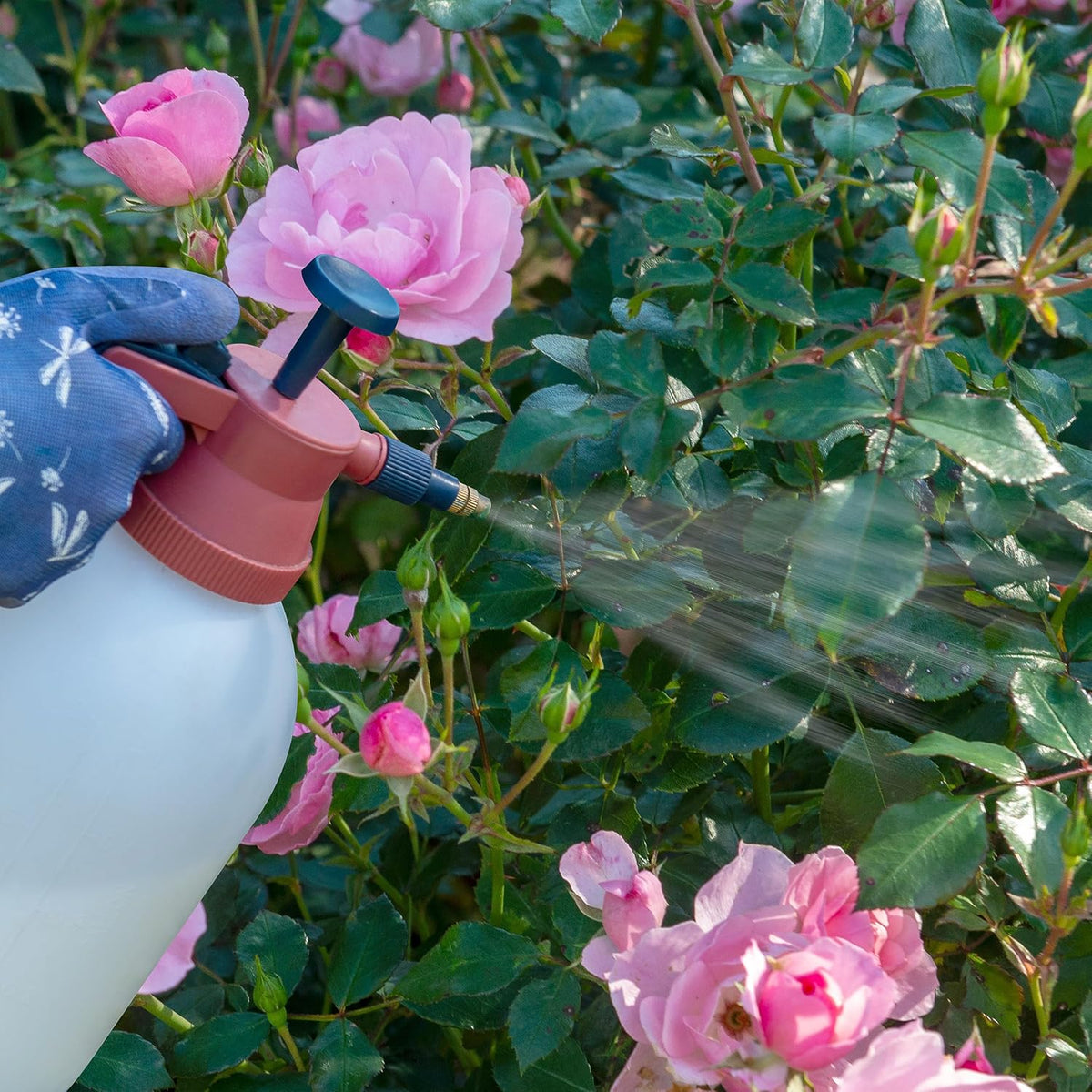 RoseClear Ultra Shield Bug Killer Clear 200ml 121372 | Pesticide Free | For Roses - Flowers and Shrubs | Protects Against Pests and Diseases | Prevents New Attacks | Make upto 6.6Ltr Spray
