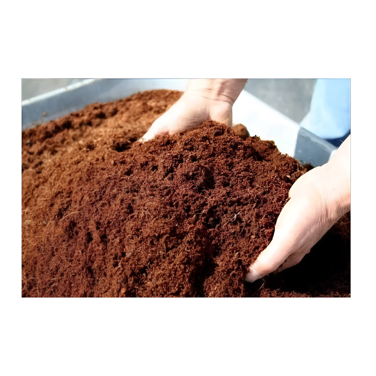 Green Jem Coco Peat Brown 5Kg - 75Ltr 30cm x 30cm x 14cm GSPEAT75 | Fibre Growing Medium