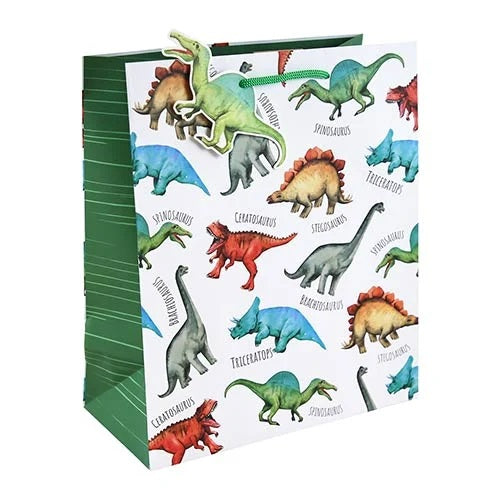 Eurowrap Dino Gift Bag Assorted Medium 21.5cm x 10.2cm x 25.3cm Pack of 6 35359-3C