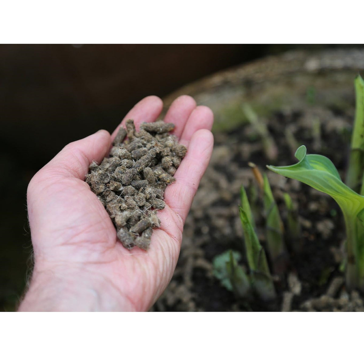 Vitax Slug Gone Wool Pellets Brown 3.5L 5SLG35 | Ideal for Use in a Family Garden | Suitable for Organic Gardening