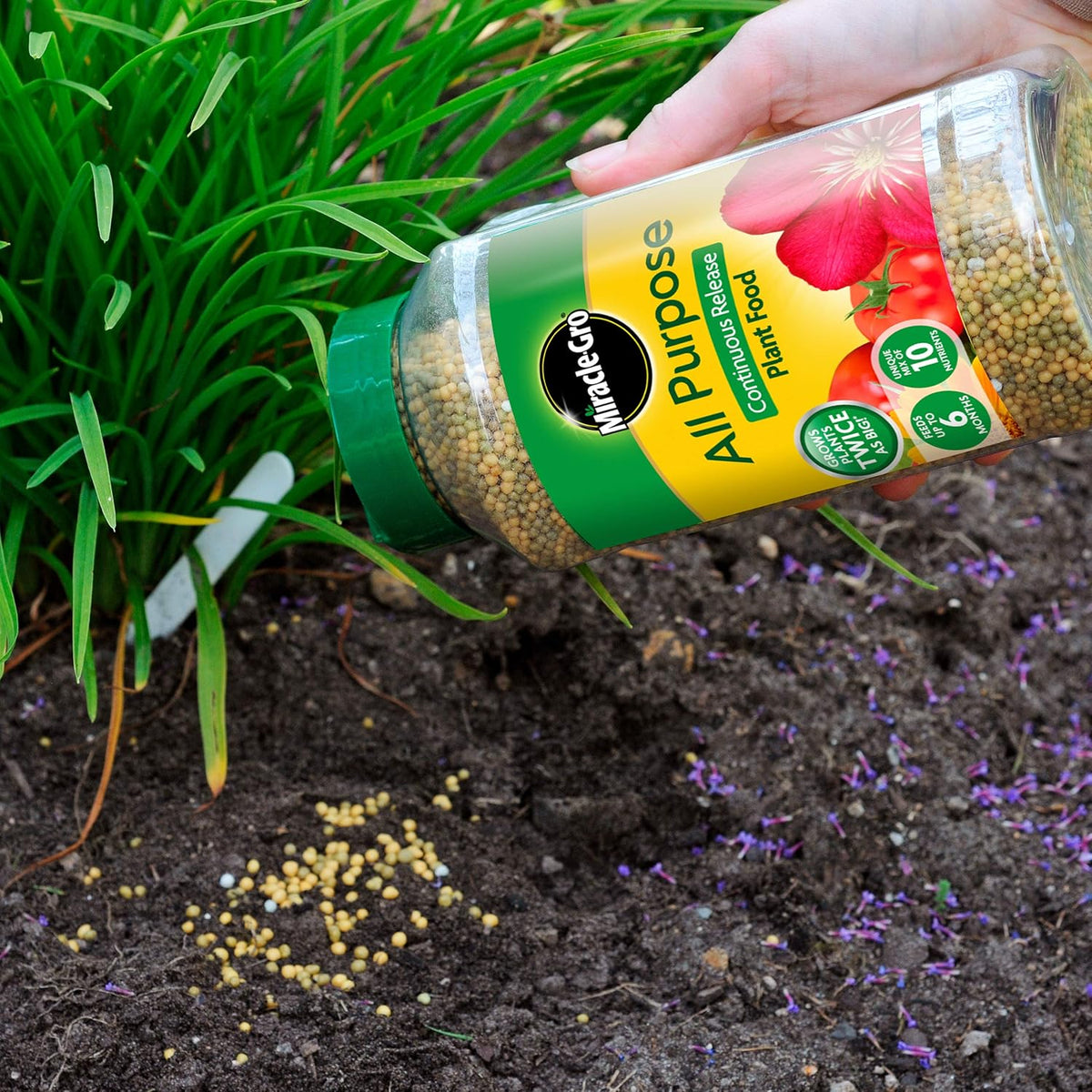 Miracle-Gro All Purpose Continuous Release Plant Food Green and Brown 1Kg 017684 | Grows Plant Twice as Big | Feeds upto 6 Months | Unique Mix of 10 Nutrients