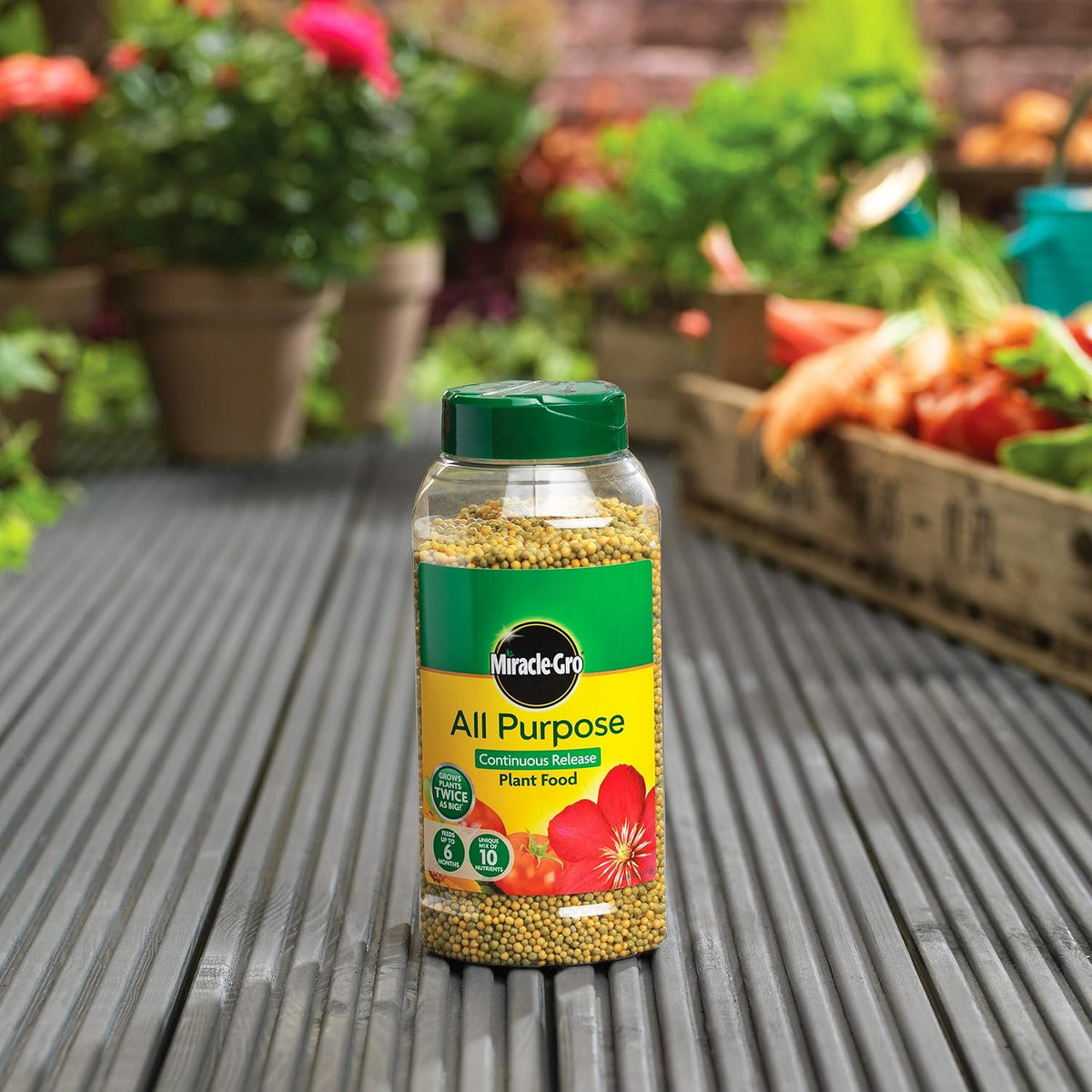 Miracle-Gro All Purpose Continuous Release Plant Food Green and Brown 1Kg 017684 | Grows Plant Twice as Big | Feeds upto 6 Months | Unique Mix of 10 Nutrients