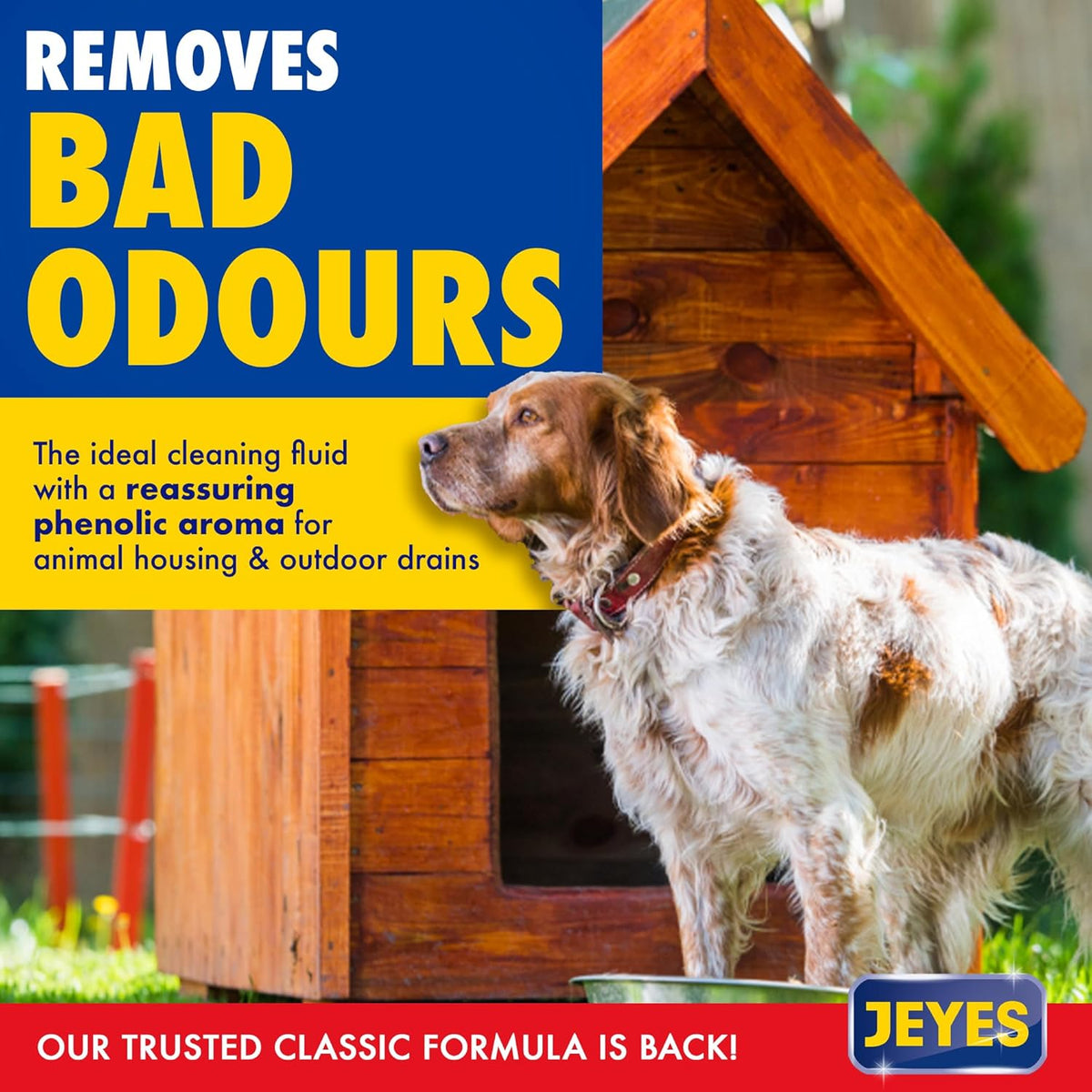 Jeyes Fluid Outdoor Cleaner Blue 1Ltr 2310832 | Original Multi-Use Formula | Kills Bacteria | Eliminates Bad Odours | For Paths-Patios-Driveways-Drains and Greenhouses