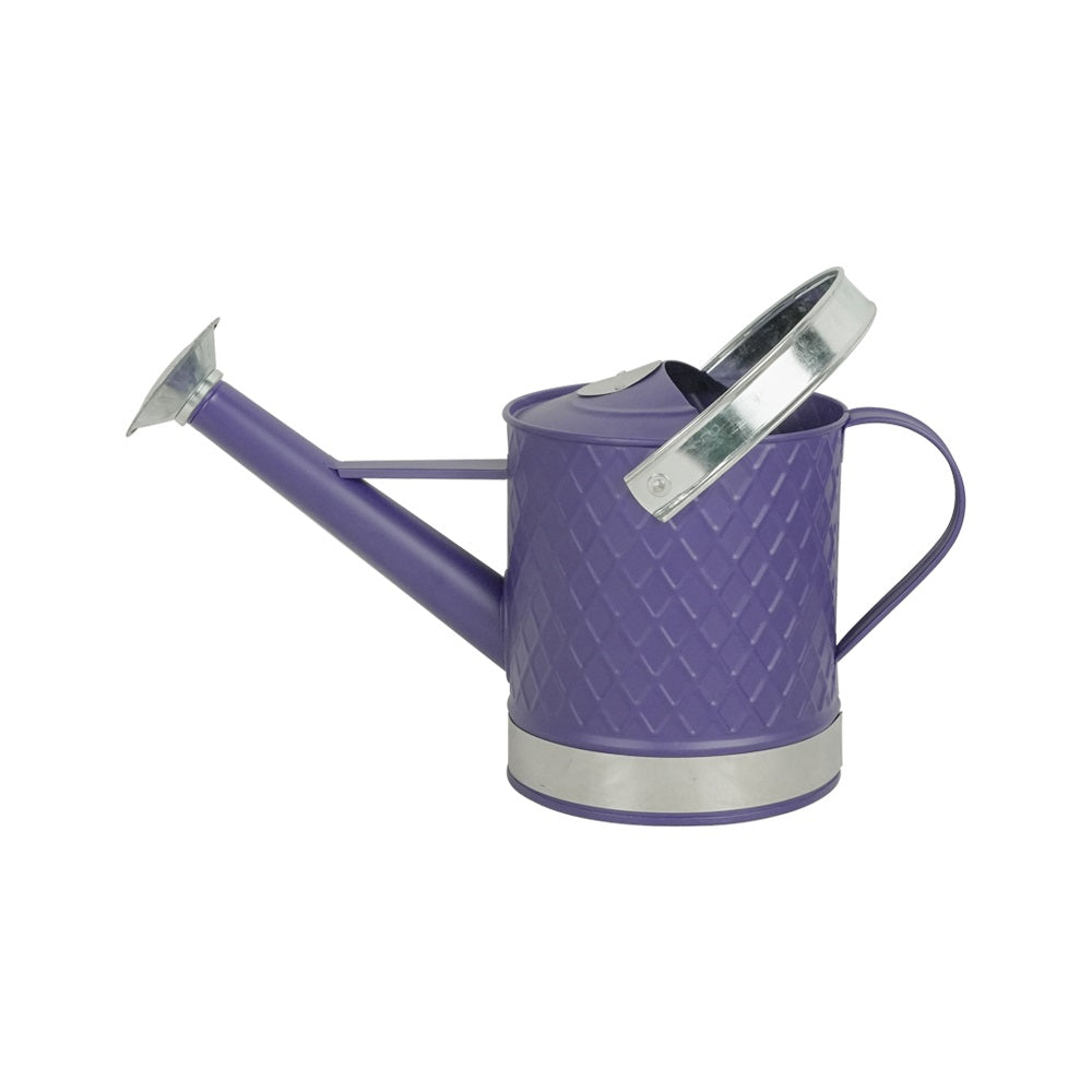 Arboria Garden Decor Watering Can Purple 3Ltr WAT07P