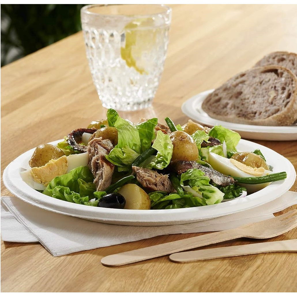 PPS Reusable Plastic Plates White 23cm Pack of 10 98-073 | Food Safe | Eco-Friendly and Durable