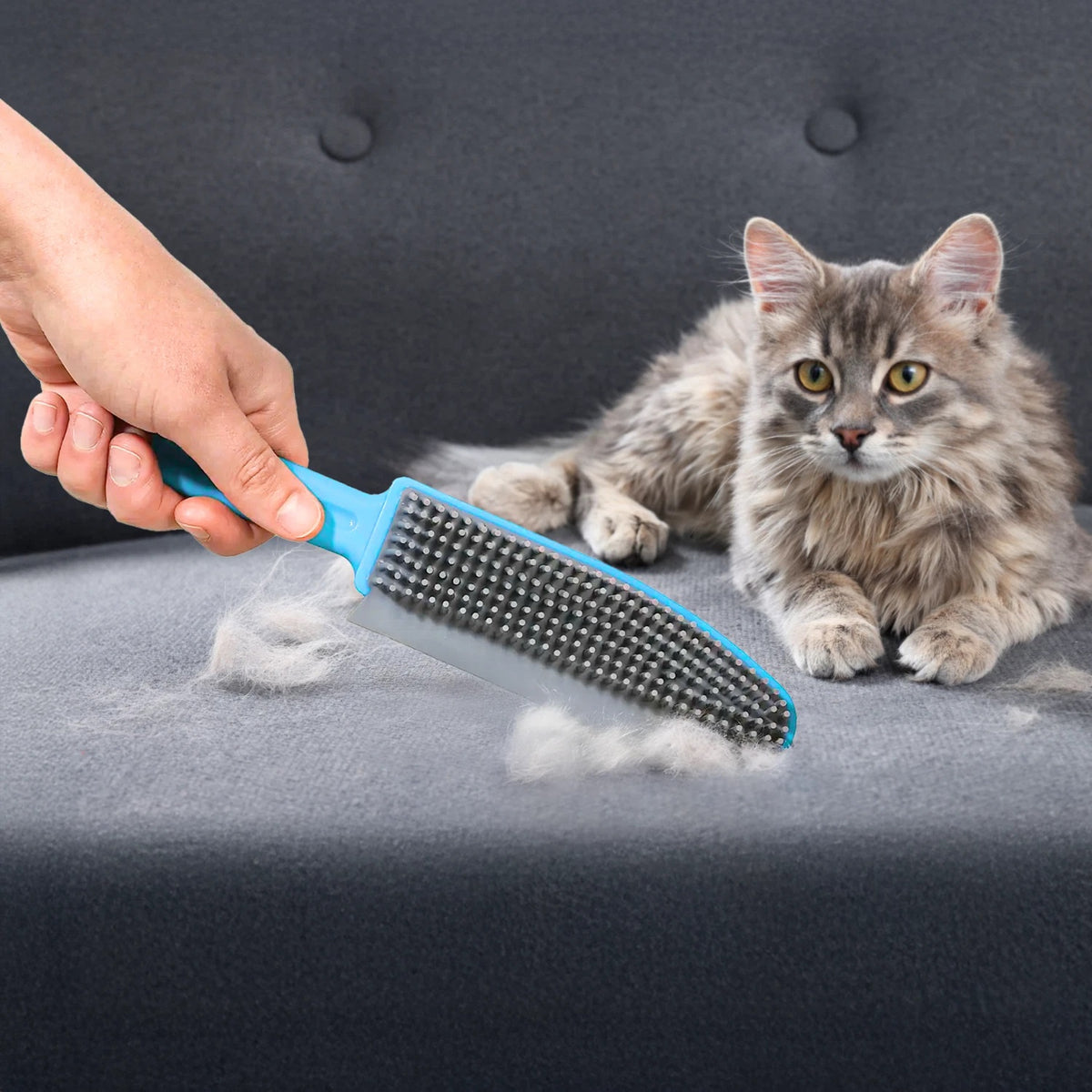 Ashley Housewares Rubber Pet Hair Brush with Squeegee Blade Blue 25cm x 5cm x 2.7cm DP106 | TPR and PP Material | Removes Pet Hair from Carpets-Rugs and Upholstery | Easy to Clean | 2 in 1 Brush | Non-Scratch Rubber Bristles | Used to Collect Hair | Use for Cleaning Tiles-Glass and Other Smooth Surfaces | Perfect to Reach Tight Places