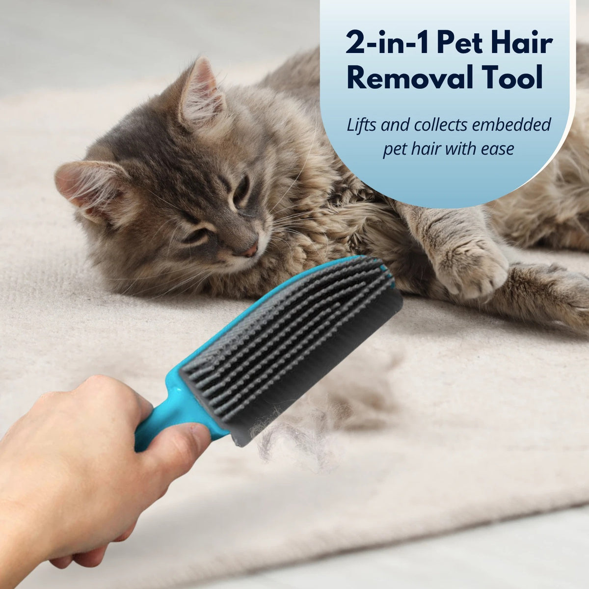 Ashley Housewares Rubber Pet Hair Brush with Squeegee Blade Blue 25cm x 5cm x 2.7cm DP106 | TPR and PP Material | Removes Pet Hair from Carpets-Rugs and Upholstery | Easy to Clean | 2 in 1 Brush | Non-Scratch Rubber Bristles | Used to Collect Hair | Use
