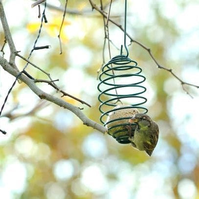 Redwood Spiral Fat Ball Bird Feeder Green 22cm BF126 | Durable Metal Spiral Design with Hanging Hook | Easy to Fill and Clean | Ideal for Feeding Birds in Garden-Fence or Tree Branch | Easy to Hang