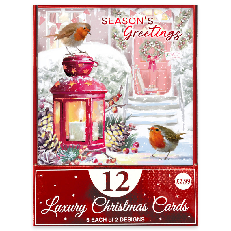 Eurowrap Snowman and Robin Luxury Christmas Cards Assorted Pack of 12 X-35789-BC